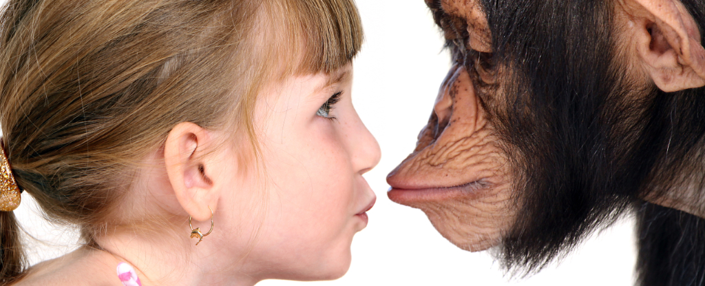 New Study Identifies Unexpected Part of Your Brain That's Uniquely Human - ScienceAlert